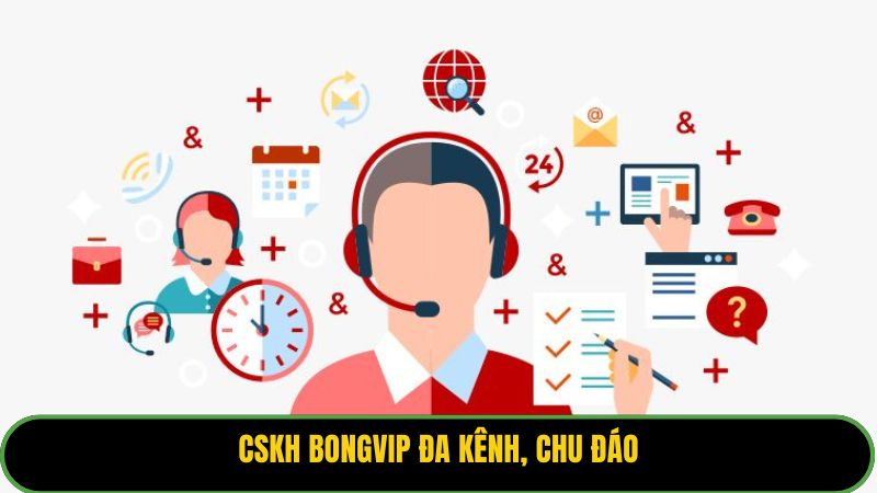 CSKH BONGVIP đa kênh, chu đáo